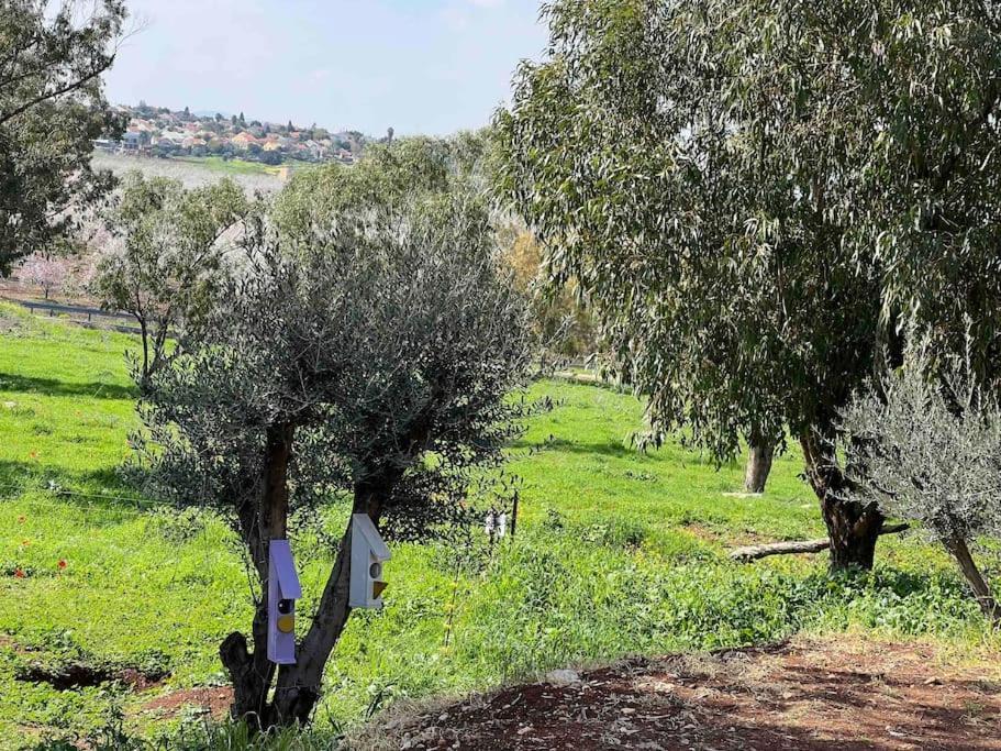אחוזת היניבים Yaniv Estate Villa Nurit Eksteriør billede